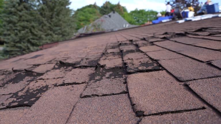 Best Solar Panel Roofing Installation  in Philmont, NY